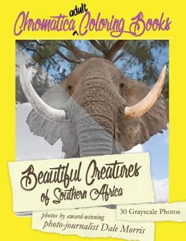 Paperback Beautiful Creatures of Southern Africa: An Adult Coloring Book featuring the most beautiful creatures that reside in Southern Africa Book