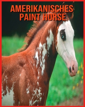 Paperback Amerikanisches Paint Horse: Tolle Bilder & Wissenswertes ?ber Tiere in der Natur [German] Book