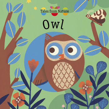 Board book Owl Book