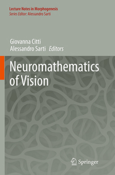 Paperback Neuromathematics of Vision Book