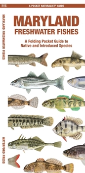 Paperback Maryland Freshwater Fishes: A Folding Pocket Guide to Native and Introduced Species Book