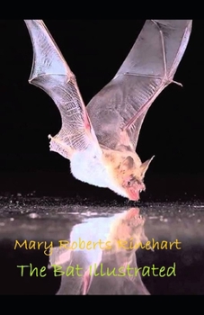 The Bat Illustrated