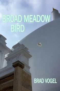 Paperback Broad Meadow Bird: 15 years of poetry Book