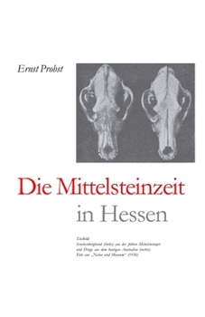 Paperback Die Mittelsteinzeit in Hessen [German] Book