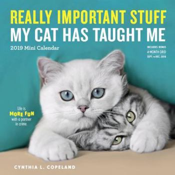 Calendar Really Important Stuff My Cat Has Taught Me Mini Calendar 2019 Book
