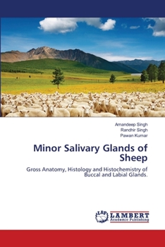 Paperback Minor Salivary Glands of Sheep Book