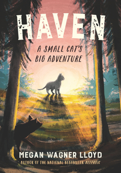 Hardcover Haven: A Small Cat's Big Adventure Book