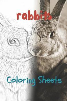 Rabbit Coloring Sheets: 30 rabbit drawings,coloring sheets adults relaxation, coloring book for kids, for girls, volume 2
