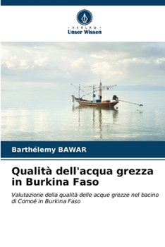 Qualità dell'acqua grezza in Burkina Faso (Italian Edition)
