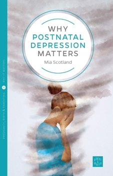 Paperback Why Postnatal Depression Matters Book