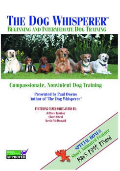 DVD The Dog Whisperer: Beginning & Intermediate Dog Book
