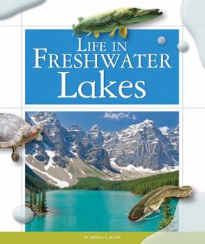 Library Binding Life in Freshwater Lakes Book