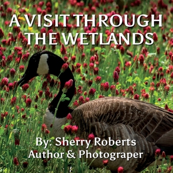 A Visit Through the Wetlands