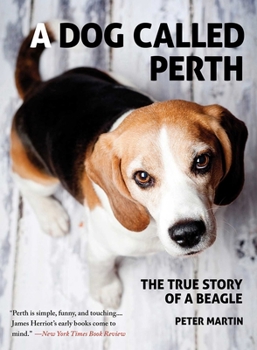 Paperback A Dog Called Perth: The True Story of a Beagle Book