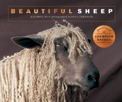 Paperback Beautiful Sheep: Portraits of Champion Breeds Book