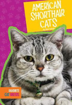 Library Binding American Shorthair Cats Book