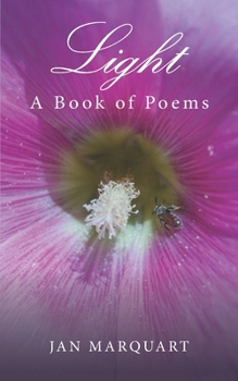 Paperback Light, a Book of Poems Book