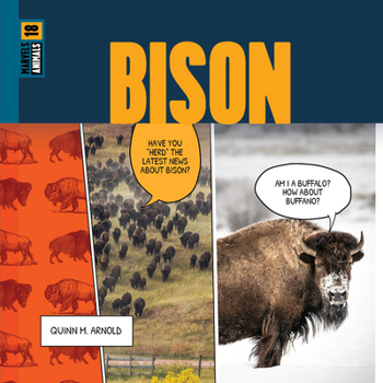 Paperback Bison Book