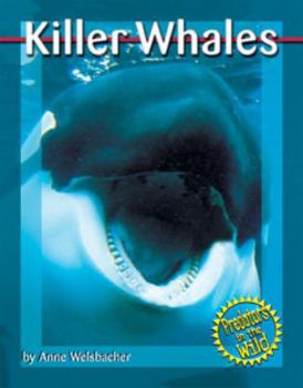 Hardcover Killer Whales Book