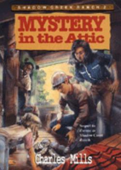 Paperback Mystery in the Attic Book