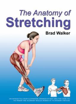 Paperback The Anatomy of Stretching Book
