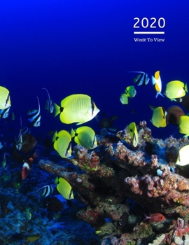 Paperback 2020 A4 Diary Week To View Planner For All Occasions: - Year Planner For Business, Office, Home, University, College, School, Appointments, Organizer. Book