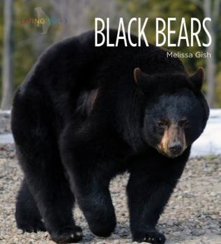 Black Bears - Book  of the Living Wild