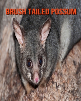 Paperback Brush Tailed Possum: Super Fun Facts And Amazing Pictures Book