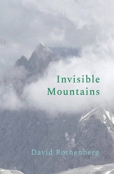 Paperback Invisible Mountains Book