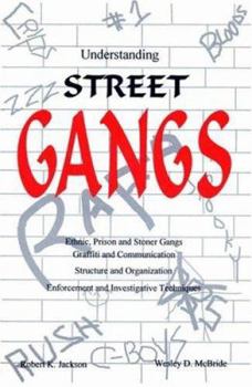 Paperback Understanding Street Gangs Book