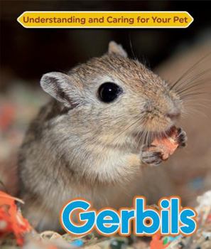 Gerbils - Book  of the Understanding and Caring for Your Pet