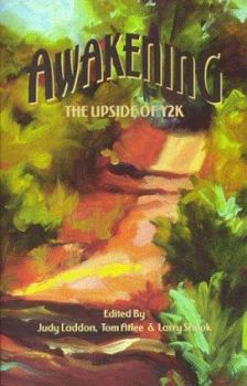 Paperback Awakening: The Upside of Y2K Book