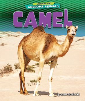 Library Binding Camel Book