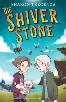 Paperback The Shiver Stone Book