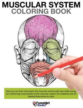 Paperback Muscular System Coloring Book