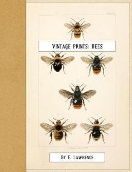 Paperback Vintage Prints: Bees Book