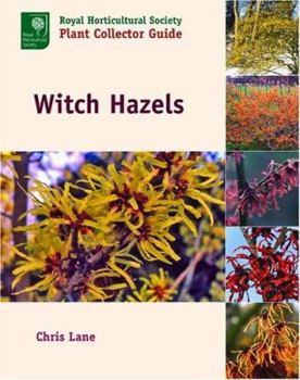 Hardcover Witch Hazels Book