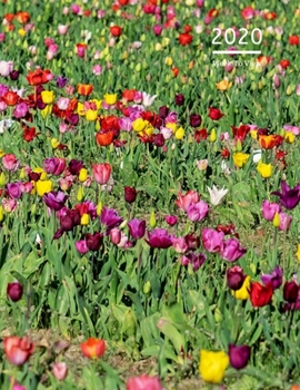 2020 A4 Diary Week To View Planner For All Occasions: | Year Planner For Business, Office, Home, University, College, School, Appointments, Organizer.