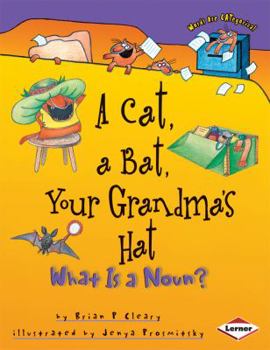 A Cat, a Bat, Your Grandma's Hat: What Is a Noun?