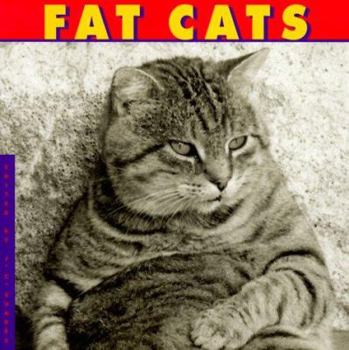 Hardcover Fat Cats Book