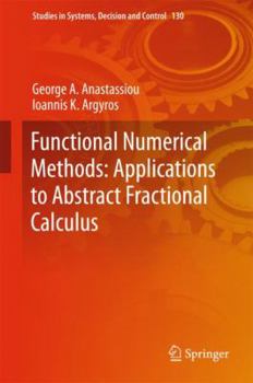 Hardcover Functional Numerical Methods: Applications to Abstract Fractional Calculus Book