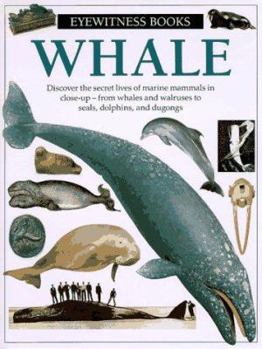 Hardcover Whale Book