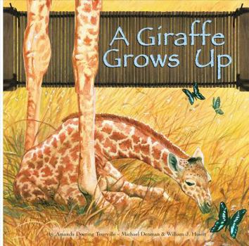 Library Binding A Giraffe Grows Up Book