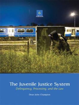 Hardcover The Juvenile Justice System: Delinquency, Processing, and the Law Book