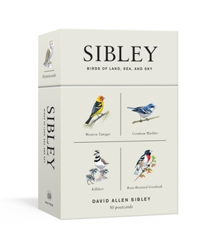 Cards Sibley Birds of Land, Sea, and Sky: 50 Postcards Book