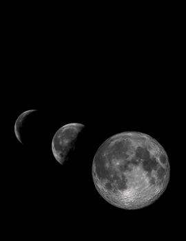 Daily Diary: Blank 2020 Journal Entry Writing Paper for Each Day of the Year | Moon Phase | January 20 - December 20 | 366 Dated Pages | A Notebook to ... Your Life, Set Goals & Get Things Done