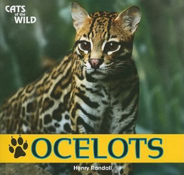 Paperback Ocelots Book