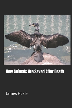 Paperback How Animals Are Saved After Death Book