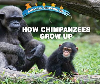 Paperback How Chimpanzees Grow Up Book