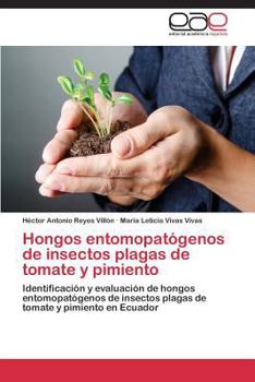 Paperback Hongos entomopatógenos de insectos plagas de tomate y pimiento [Spanish] Book